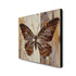 The Bronze Butterfly